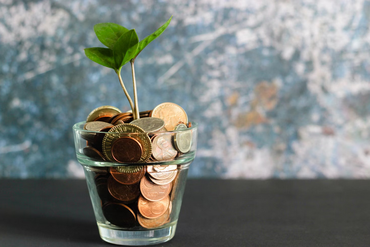 Investment Strategies for Beginners